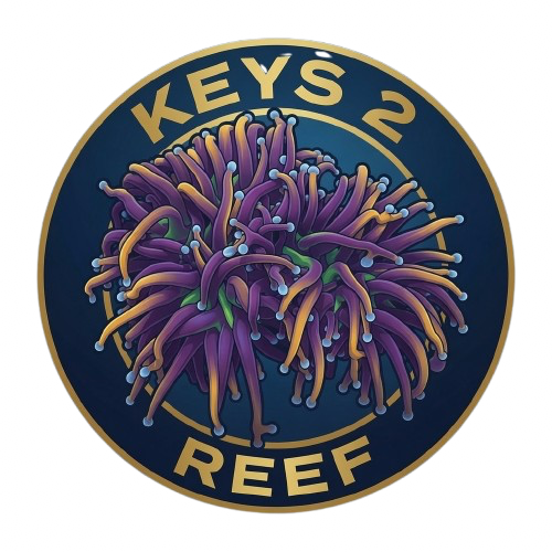 Keys2Reef